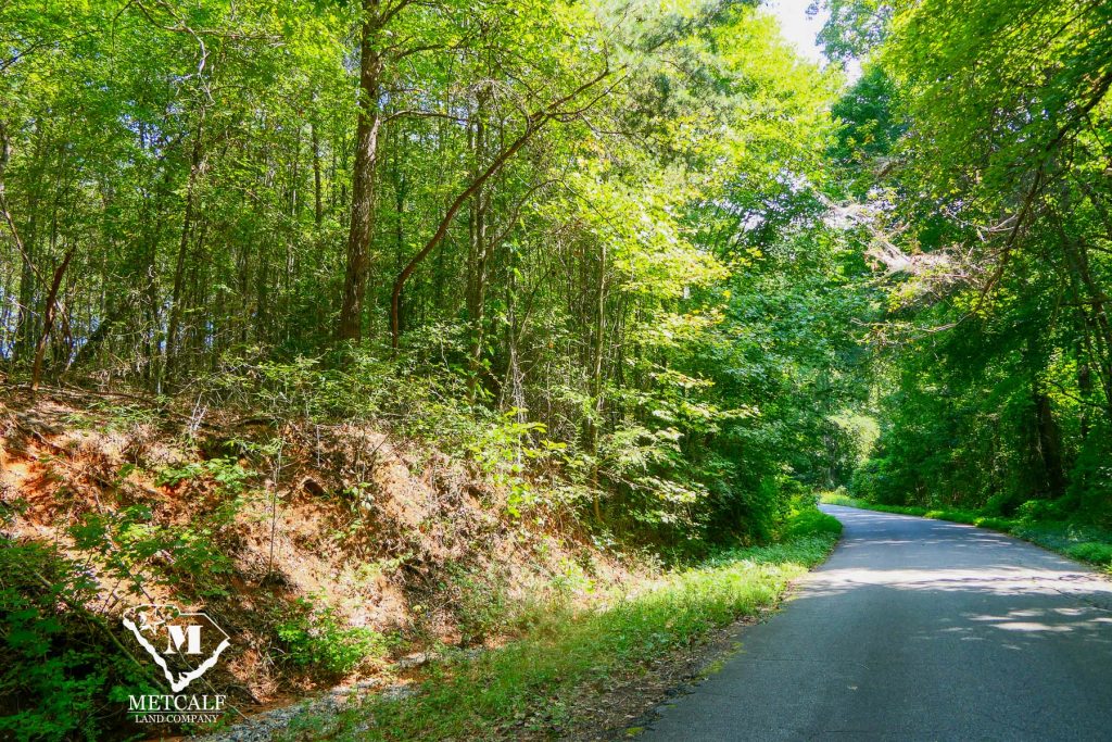 Lush greenery lines a winding road, showcasing the serene landscape of a private 2.5-acre homesite in Campobello.