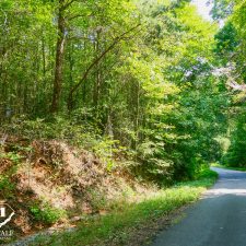 Lush greenery lines a winding road, showcasing the serene landscape of a private 2.5-acre homesite in Campobello.