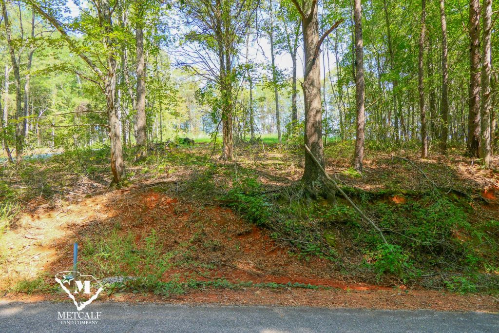 Lush wooded area showcasing a private 2.5-acre homesite in Campobello, ideal for nature lovers and potential development.