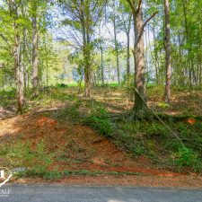 Lush wooded area showcasing a private 2.5-acre homesite in Campobello, ideal for nature lovers and potential development.
