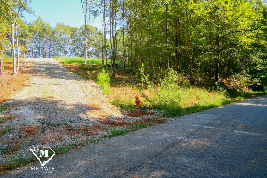 Gravel driveway leading to a wooded area on a private 2.5-acre homesite in Campobello, South Carolina.